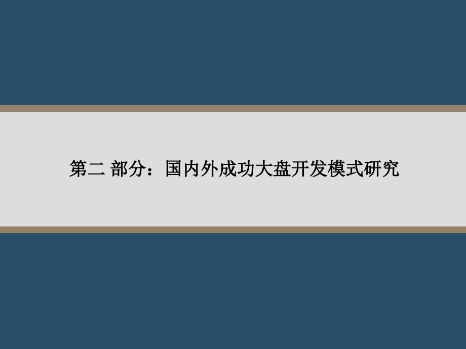 大盘发展与开发模式介绍课件_第3页