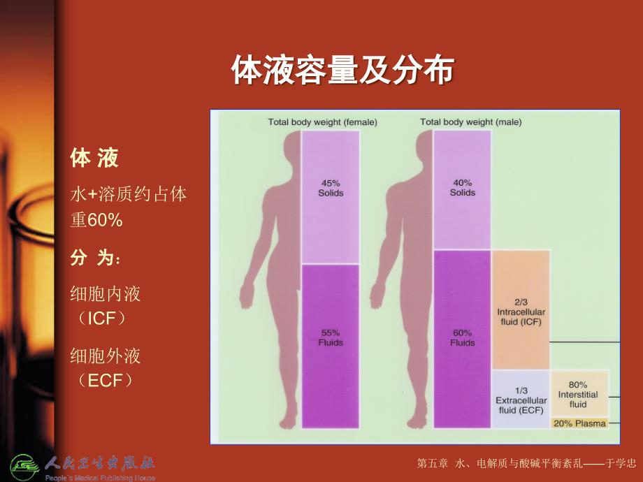 水电解质酸碱紊乱PPT课件_第3页