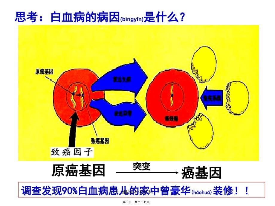 细胞分化要和课件_第5页