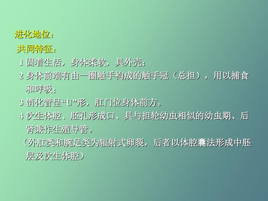 总担、棘皮、半索动物门_第2页