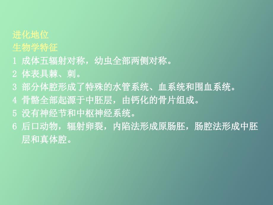 总担、棘皮、半索动物门_第4页