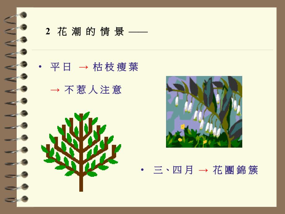 浙教版六年级下册花潮2课件_第4页