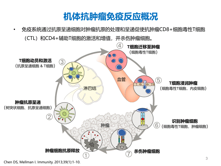 免疫治疗新进展_第3页