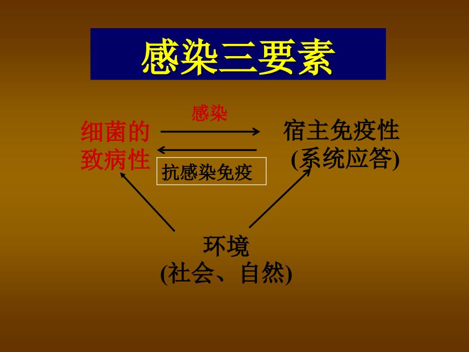 细菌的感染和免疫PPT课件_第4页