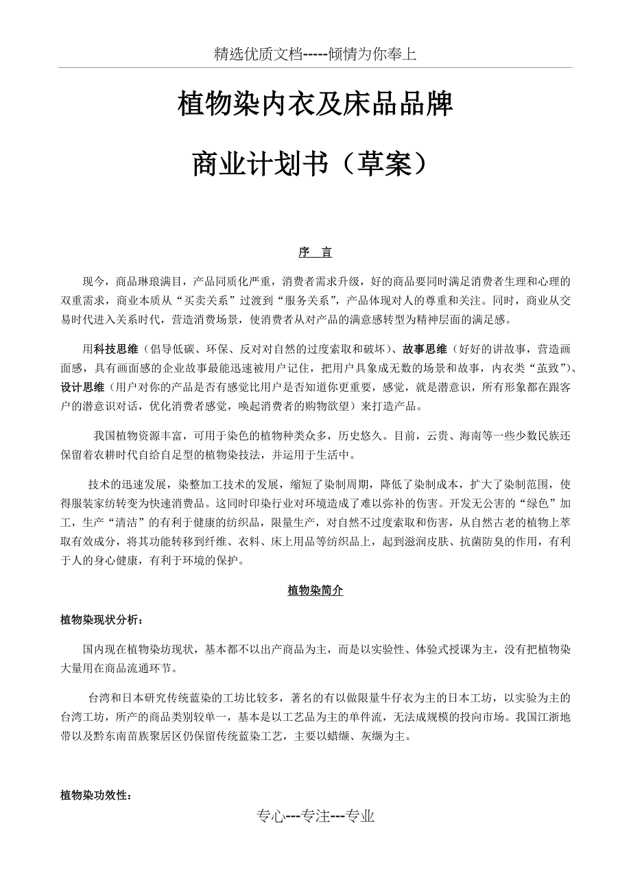 植物染商业计划书_第1页
