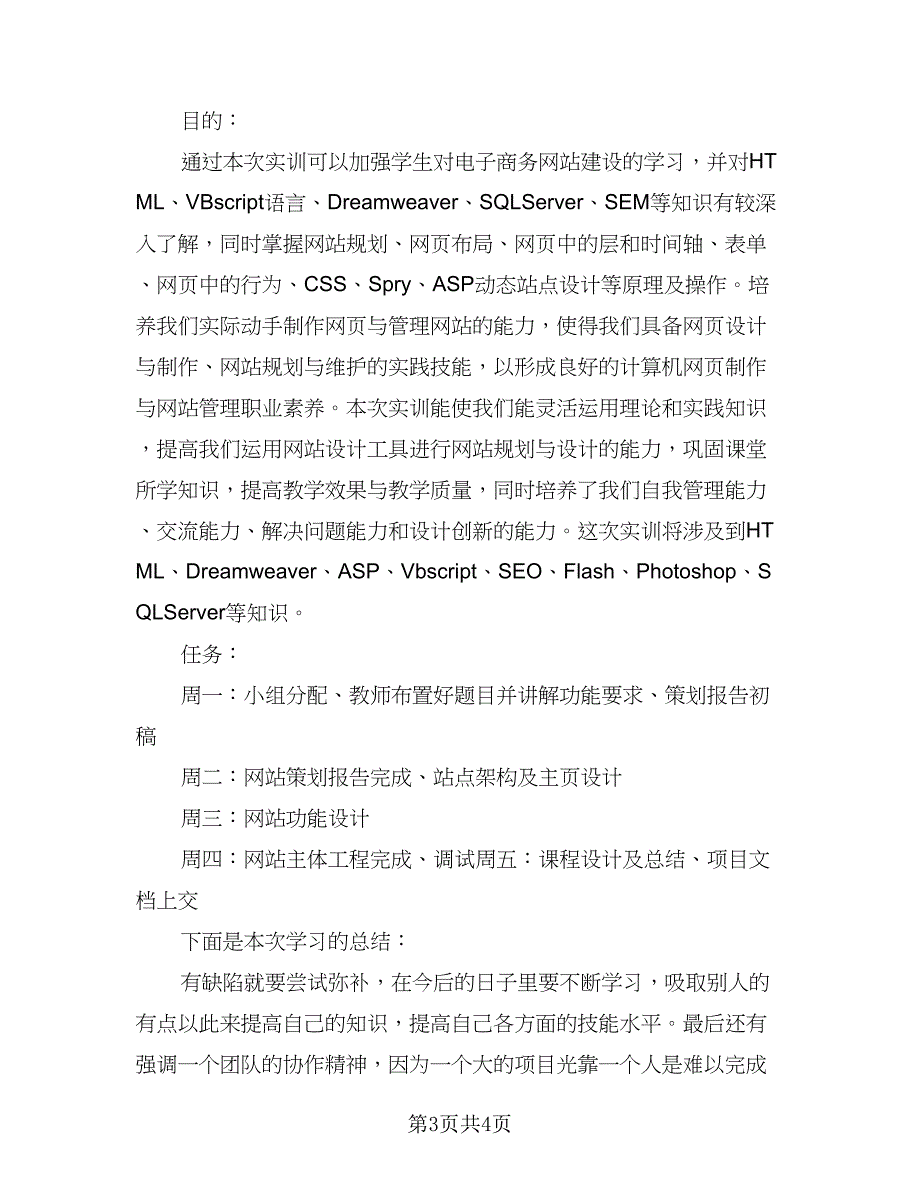 电子商务实训工作总结样本（2篇）.doc_第3页