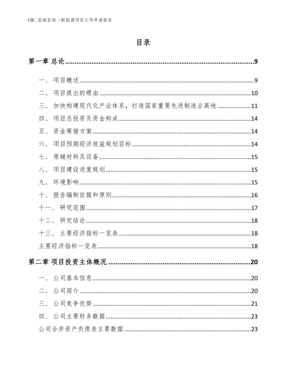 新能源项目立项申请报告_范文_第1页