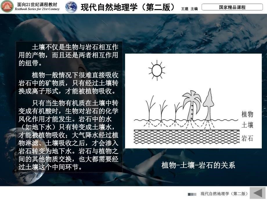 生物圈与岩石圈、水圈、大气圈的的相互作用课件_第5页