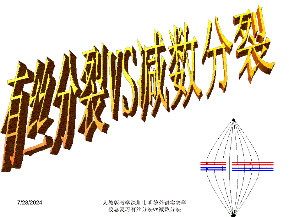 人教版教学深圳市明德外语实验学校总复习有丝分裂vs减数分裂课件_第1页