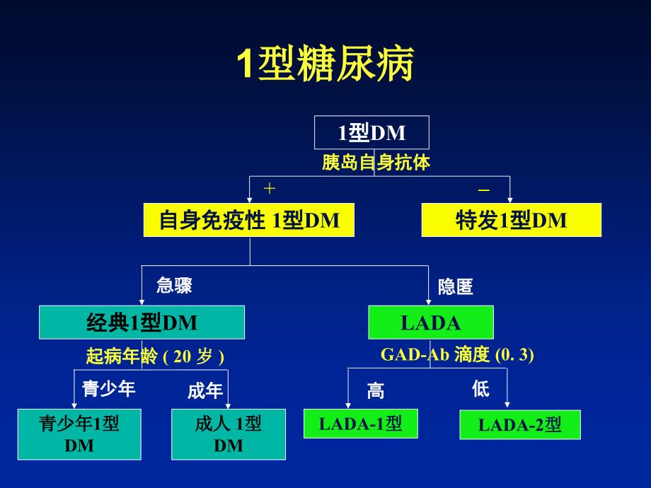 糖尿病分型和LADA课件_第4页