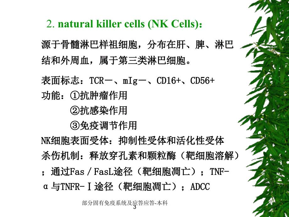 部分固有免疫系统及应答应答本科课件_第3页