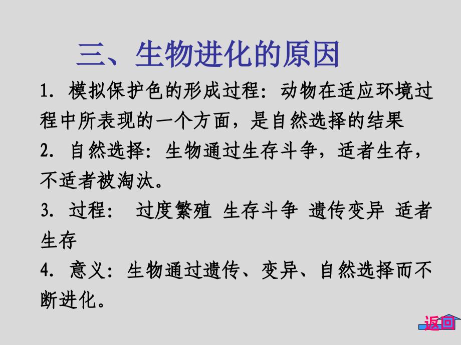 人教版八年级生物下册第七单元第三章 生命的起源和进化复习课件（38张PPT）_第3页