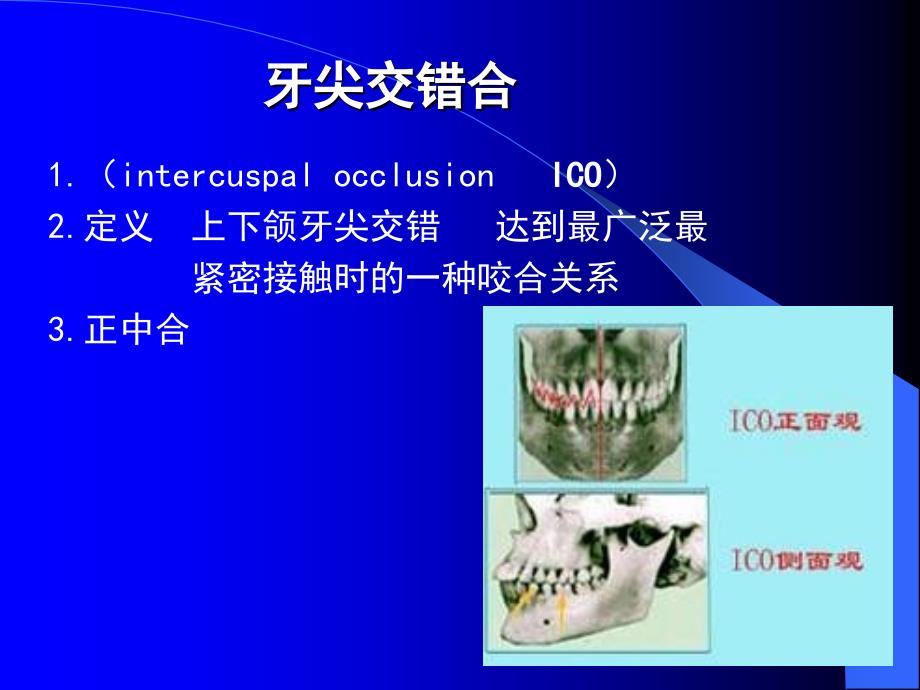 中国医科大学口腔解剖生理学课件06_第2页