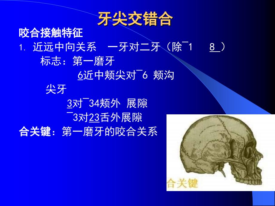 中国医科大学口腔解剖生理学课件06_第3页