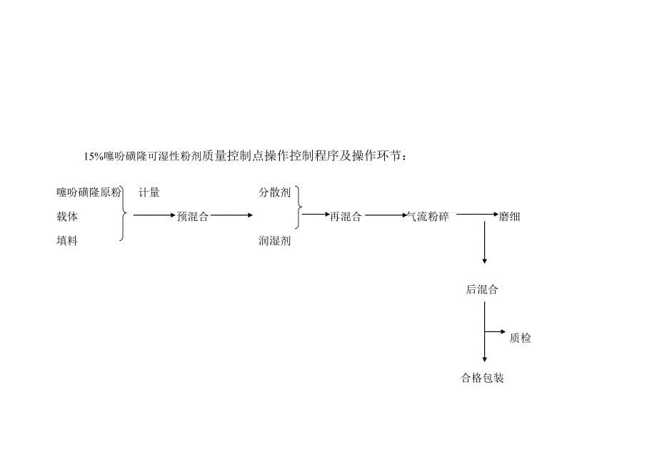 工艺流程图_第5页