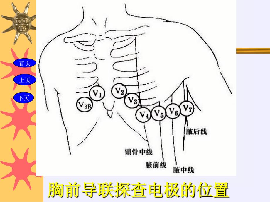 正常心电图解读_第3页