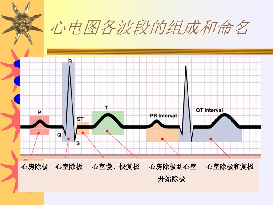 正常心电图解读_第4页