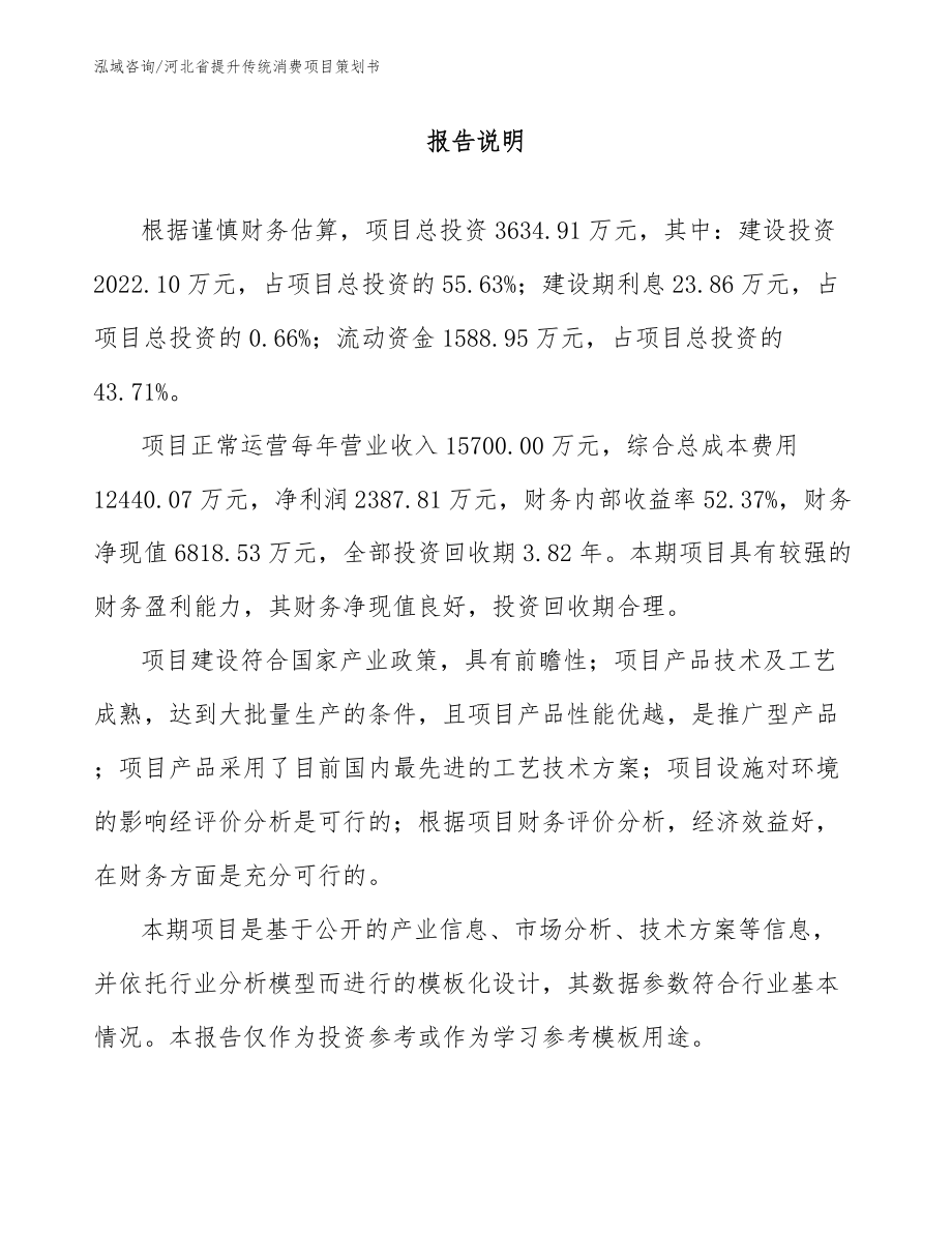 河北省提升传统消费项目策划书_范文_第1页