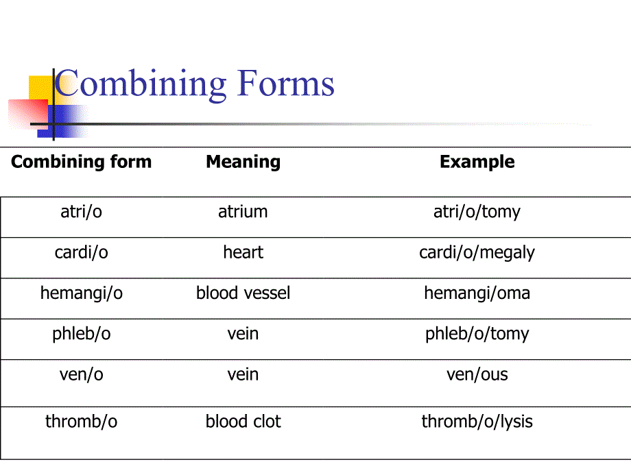 医学英语课件：Medical Terminology of Cardiology_第3页