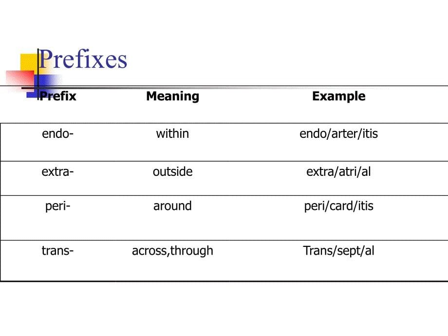 医学英语课件：Medical Terminology of Cardiology_第5页