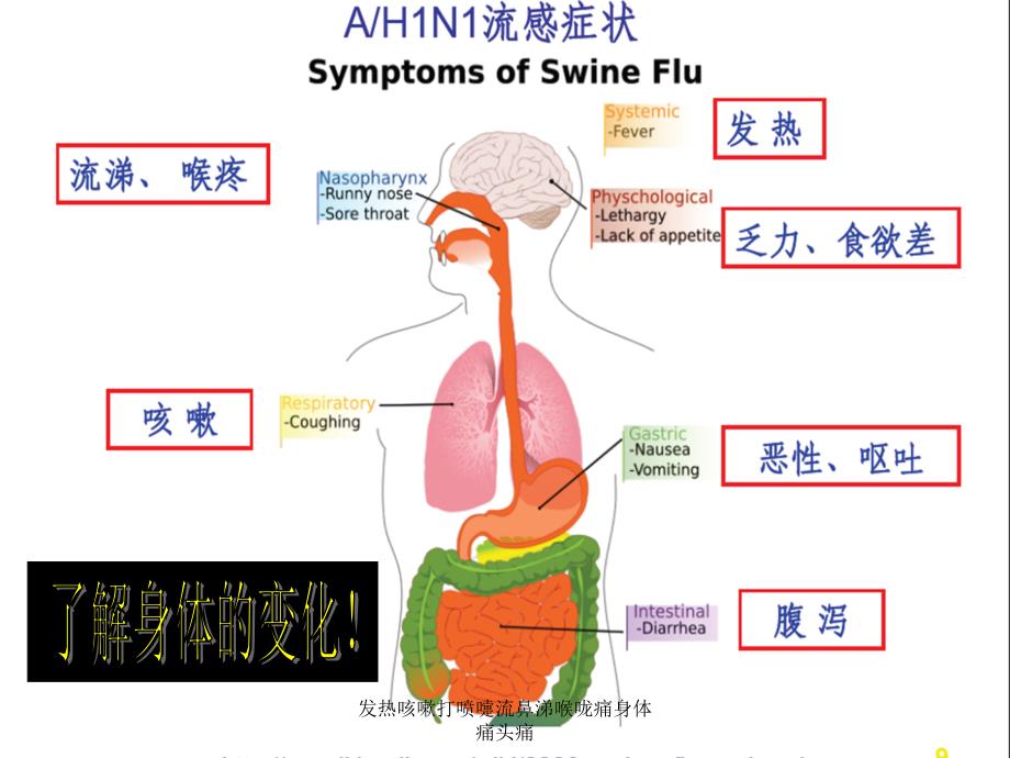 发热咳嗽打喷嚏流鼻涕喉咙痛身体痛头痛课件_第3页