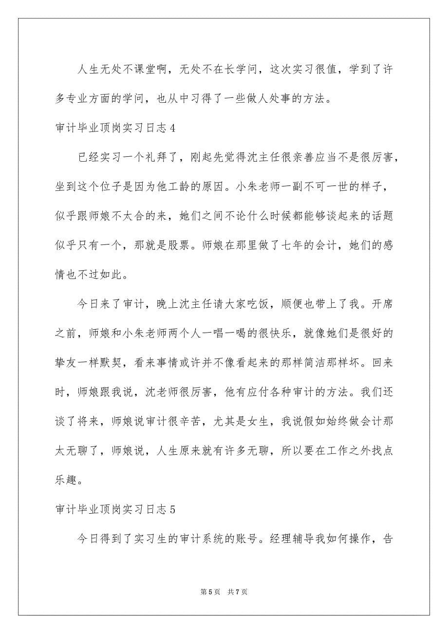 审计毕业顶岗实习日志_第5页