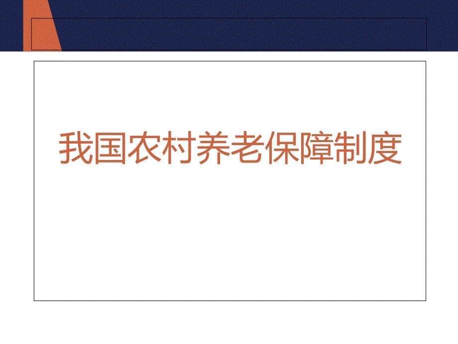 公共财政下农村养老问题研究资料_第5页