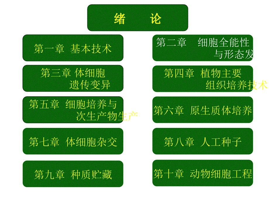 《细胞全能性》课件_第1页