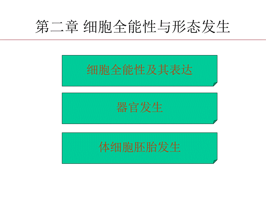 《细胞全能性》课件_第2页