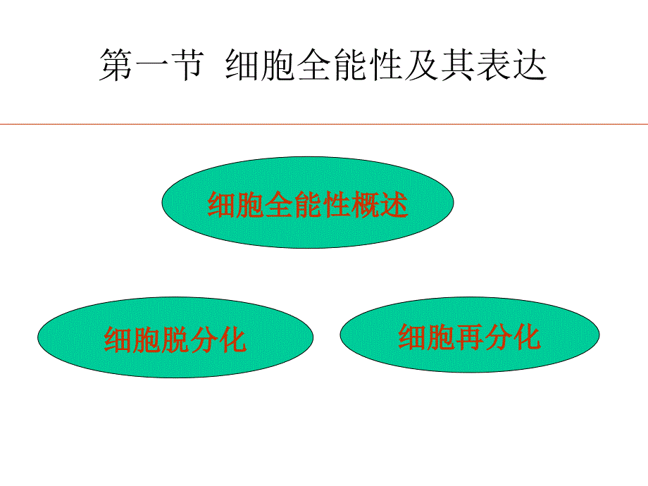 《细胞全能性》课件_第3页