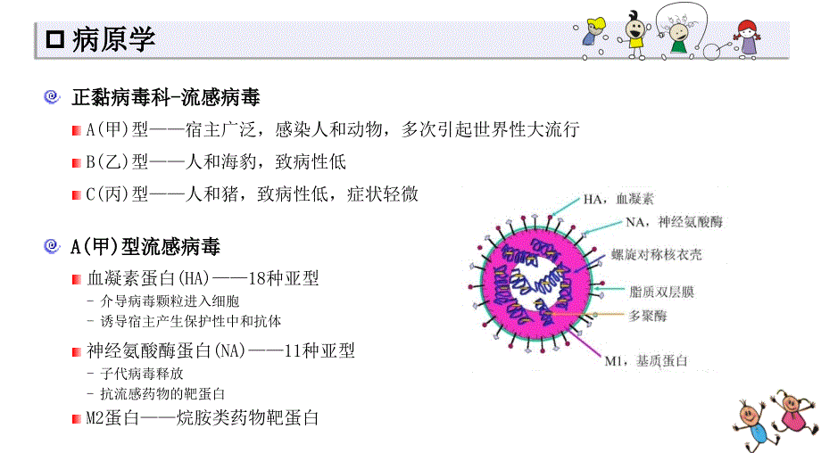 儿童流感诊断与治疗专家共识ppt课件_第2页