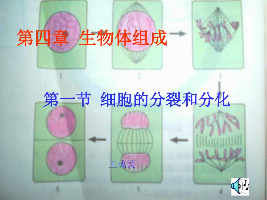 生物优质课课件细胞的分裂和分化_第1页