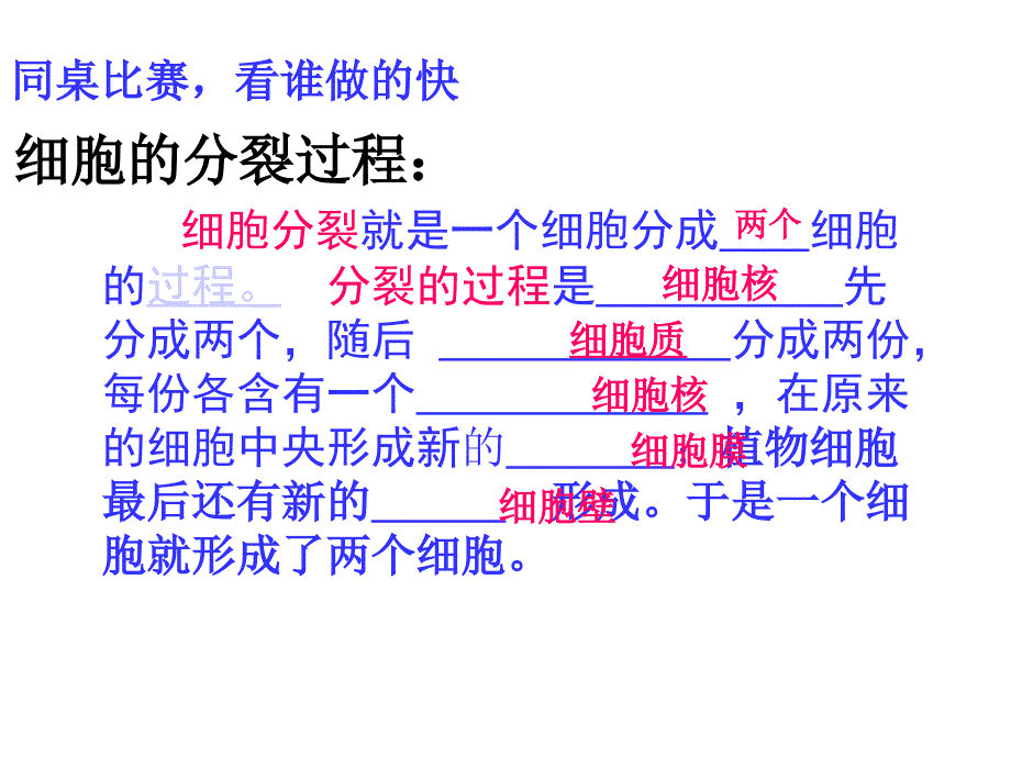 生物优质课课件细胞的分裂和分化_第4页