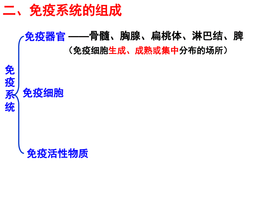 免疫调节1一轮复习第一课时_第4页