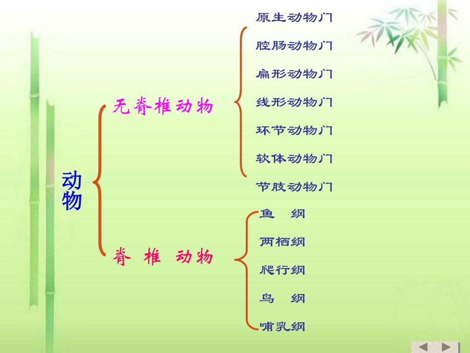 八年级生物上第一章_各种环境中的动物第一节_水中生活的动物课件人教版_第3页