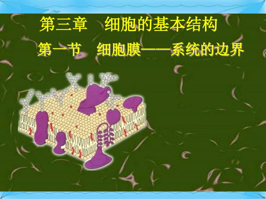 高中生物31细胞膜系统的边界课件2新人教版必修1_第1页