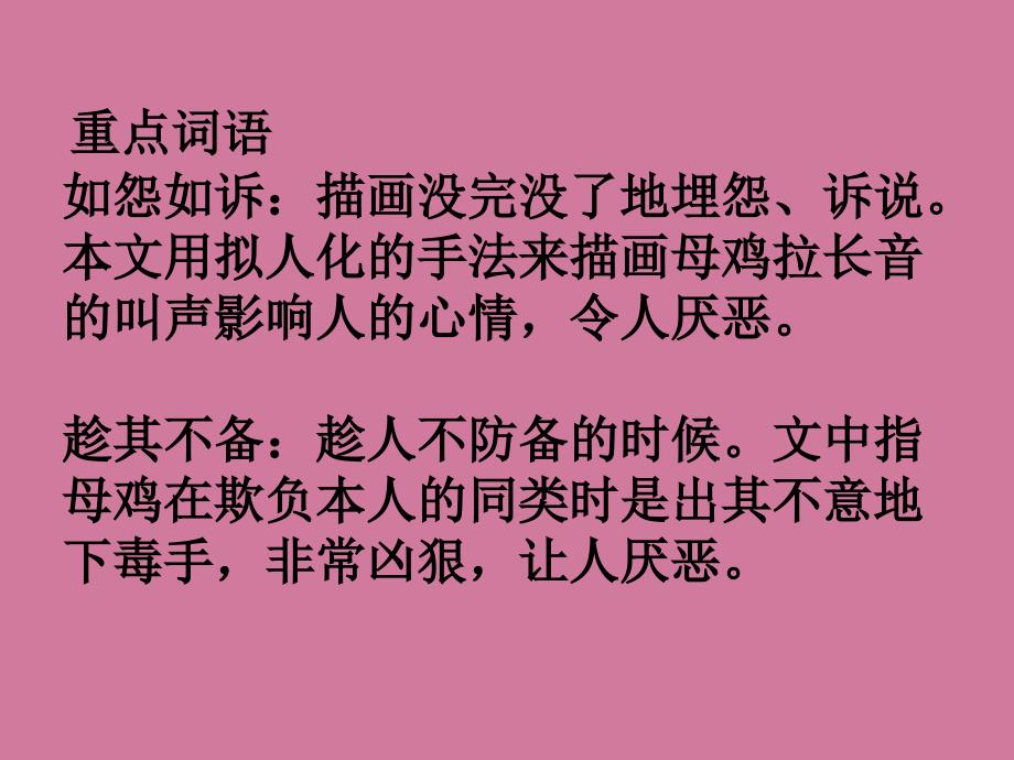 六年级下册语文15母鸡冀教版ppt课件_第3页