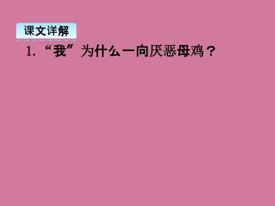 六年级下册语文15母鸡冀教版ppt课件_第5页