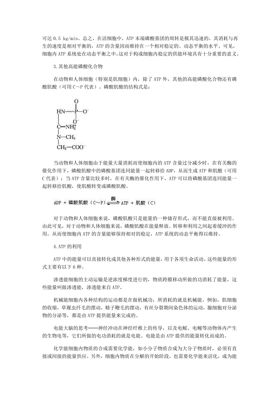 金识源专版高中生物第五章第二节细胞的能量“通货”--ATP素材新人教版必修1_第2页