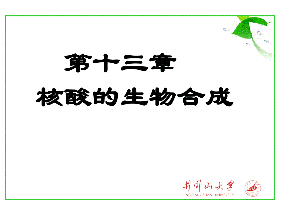 第十三章核酸生物合成_第1页