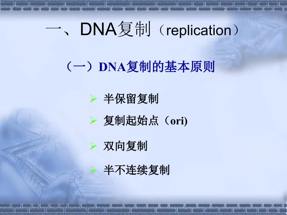 第十三章核酸生物合成_第4页