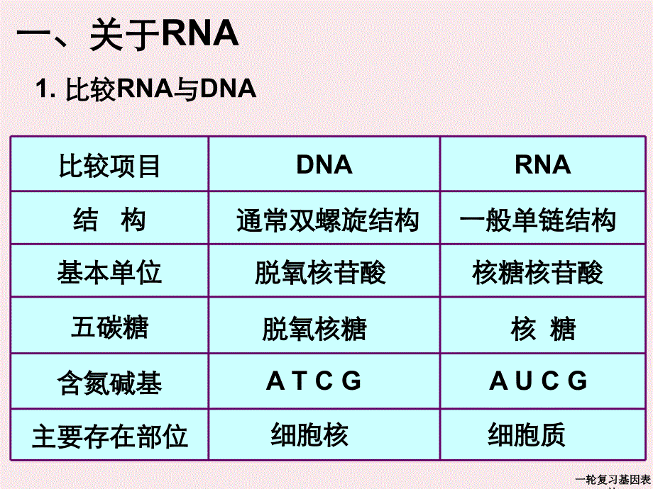 一轮复习基因表达_第4页