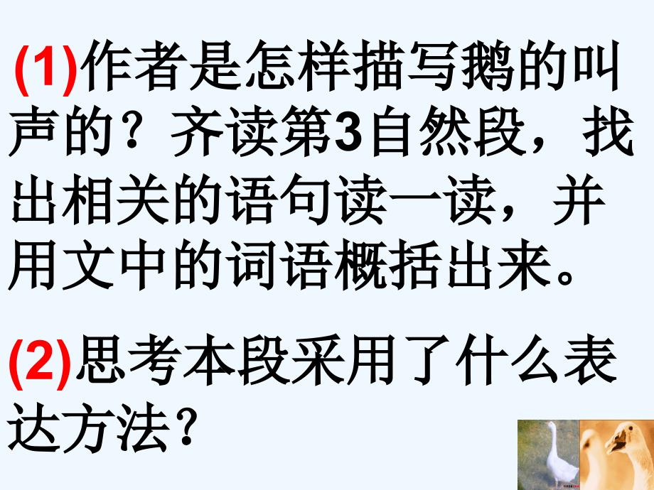 语文人教版四年级上册13白鹅第二课时_第4页