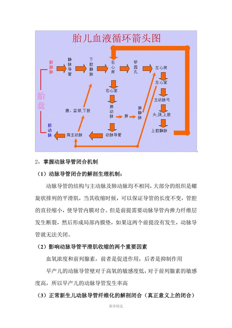 动脉导管未闭图文详细讲解_第3页