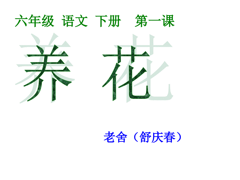 六年级下册语文课件1.1养花北师大版_第1页
