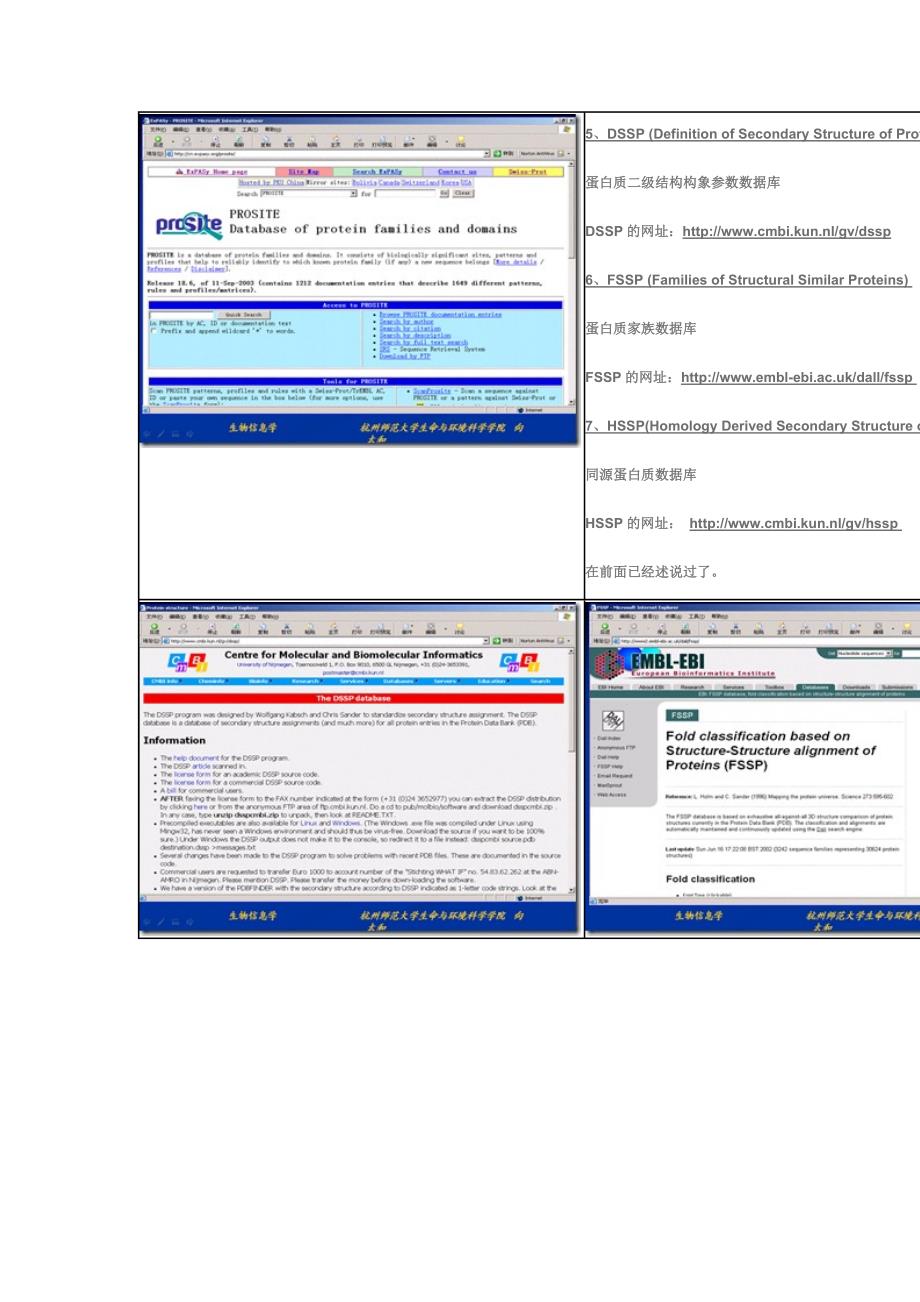 蛋白质数据库介绍_第4页