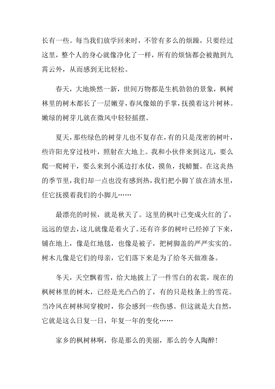 介绍枫树的作文说明文_第4页