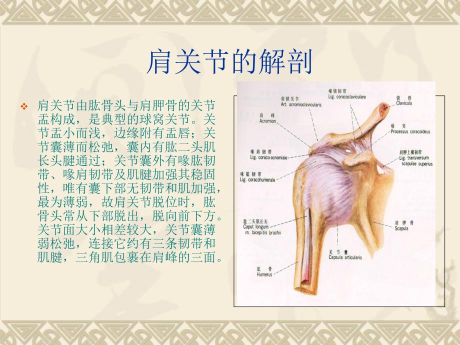 冈上肌出口位影像学检查方法_第2页