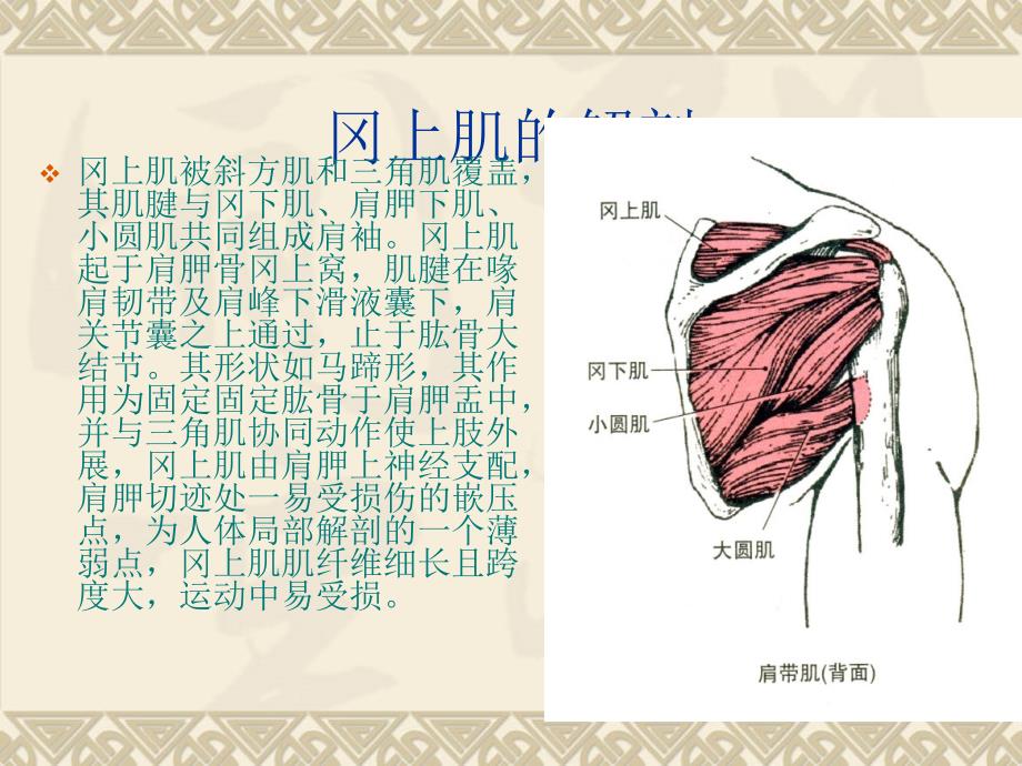 冈上肌出口位影像学检查方法_第4页