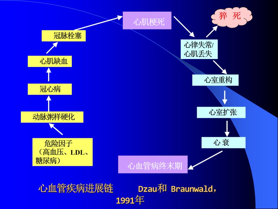 不同病因重症心力衰竭急诊救治对策课件幻灯ppt_第4页